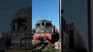 DM268 FRIGHT TUNIS TO THE GULLY  #shorts #shortvideo #train #railway #sncft