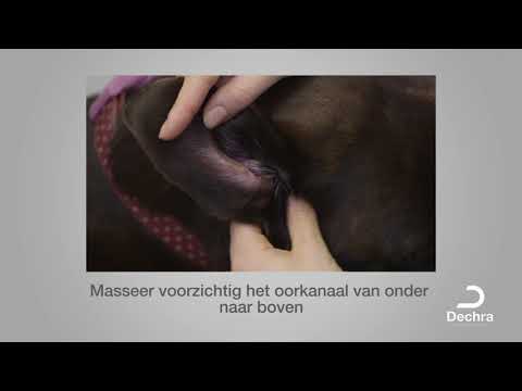 Video: Hoe Maak Je De Oren Van Je Puppy Schoon