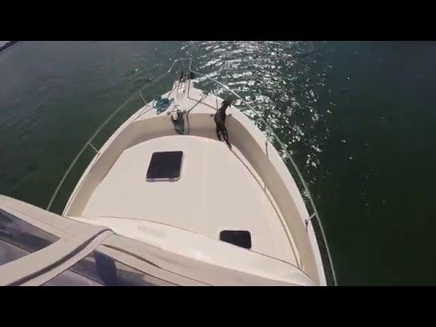 Maiden Voyage - YouTube Buck