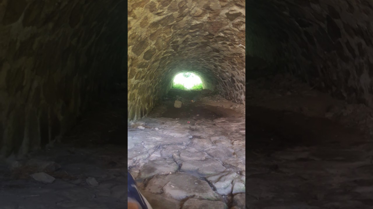 BISON 5 SOUS UN TUNEL !!