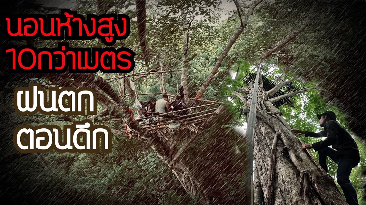 นอนห้างต้นไทรสูง10กว่าเมตรกลางป่าดงสัตว์ใหญ่ โดนกวนแทบไม่ได้นอน