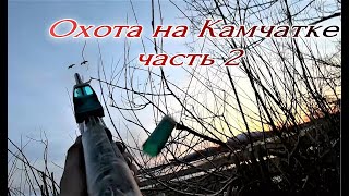 Часть 2. Охота на Камчатке 2021! "Караулим гуся"