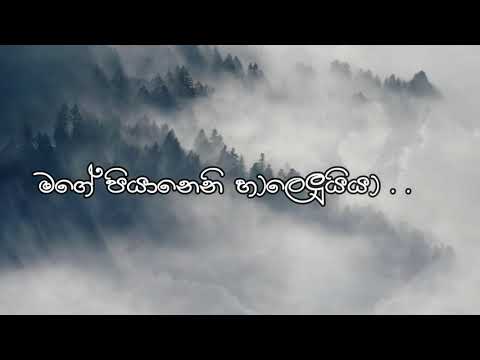 Hallelujah Lyrics     Nimesh Fernando