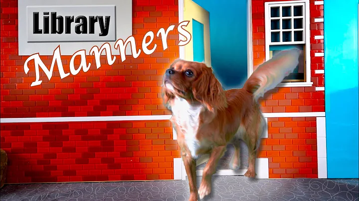 Library Manners for Kids