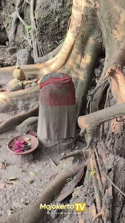 Ternyata ini wujud Paku Bumi tanah jowo     #trending #sejarah #explorejawa