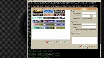 Casual overview of Mudlet 1.1.0
