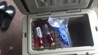 Celebrity YETI vs Coleman vs Igloo Wealth