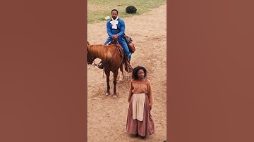 Django isn’t a slave #django #movies #funny #ihavethisthingwithplants