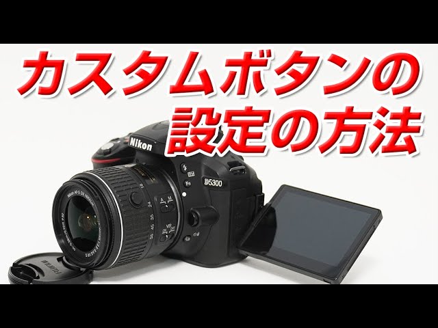 Nikon D5300 (ボタン動作効きにくいです) Nikon D5300 (ボタン動作効きにくいです) まだまだ現役です