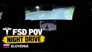 Tesla FSD After Dark  A Chill Evening Drive in Slovenia