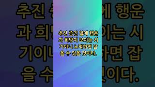 2024년 4월 6일 오늘의 운세 뱀띠 #쇼츠 #오늘의운세 #오늘의띠별운세 #뱀띠