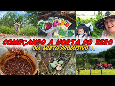 SEGUNDA-FEIRA + COMEÇANDO A SEMANA LIGANA NO 220 + PLANTIO DA HORTA + ROTINA DIÁRIA