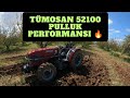 Tümosan 52100 Bahçe Traktörü İle Kayısı Bahçesi Sürümü Yapıyoruz | 3'lü 14 İnç Alpler Pulluk