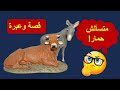 نصيحة الحمار الحمير مش بس في الحواوشي متسألش حمار قصة وعبرة 