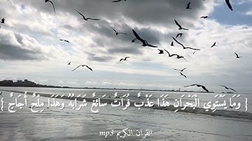 ارح سمعك...تلاوه هادئه تريح العقل والقلب ‏💚🎧 | حالات واتساب قصيرة دينية قران كريم