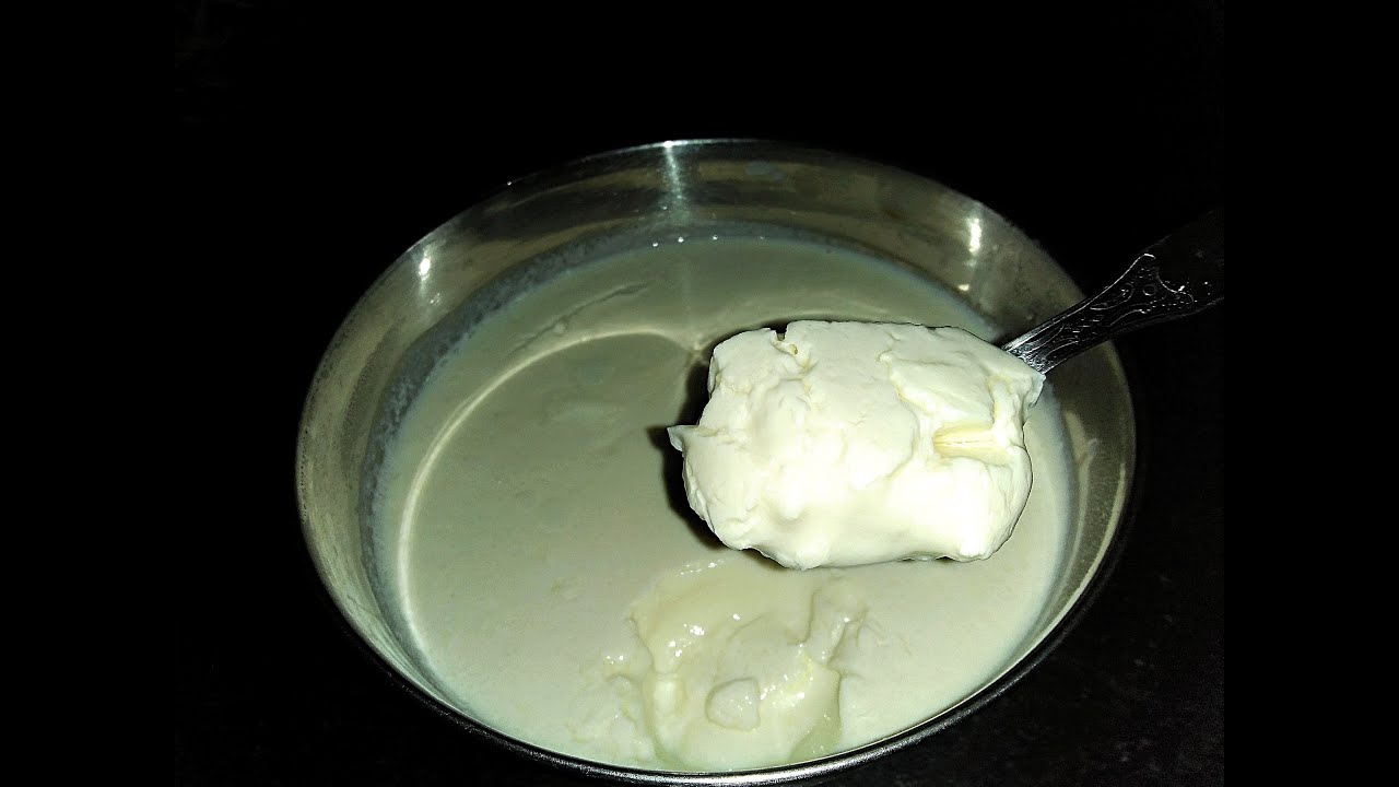 How to make thick curd at home / how to make home made yogurt / curd