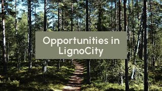 Opportunities In Lignocity