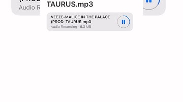 Veeze - Malice In The Palace (Snippet) (Prod by Taurus)