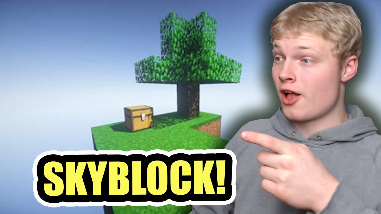 JOINER HUSUMS SKYBLOCK SERVER!