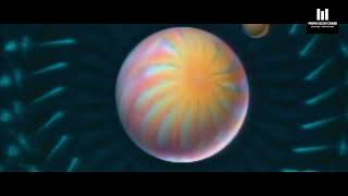 The Culture Mr.root Official Mix Properdecentchoons