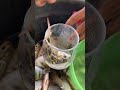 Fresh Fish Mukbang Prep 😱 Village Style Fish Cleaning & Washing