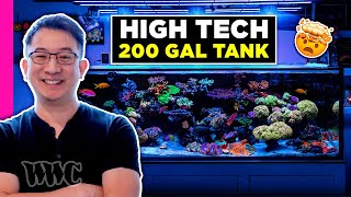This guy Turned his OFFICE Into an INSANE Fish Room!! @bayarea_reef