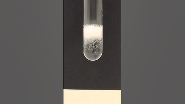 Testing For Carboxylic Acids | Sodium Carbonate