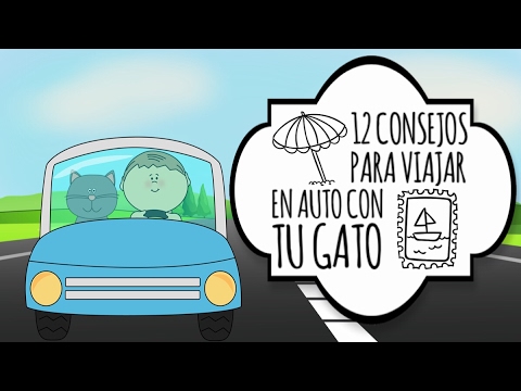 12 Consejos para Viajar en Auto con tu Gato