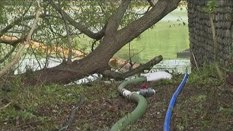 NY Tries New Method Of Removing Algae Blooms