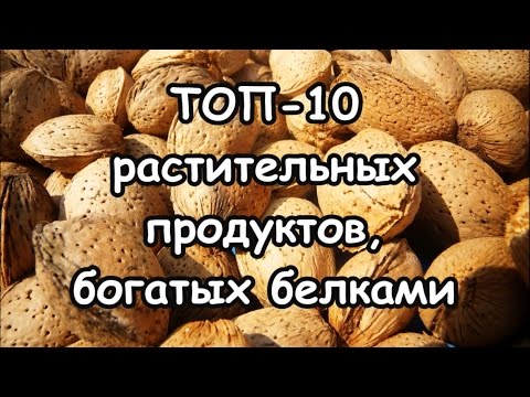 ТОП-10 растительных продуктов, богатых протеинами (белками)