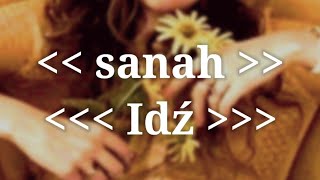 Video voorbeeld van "sanah - Idź (Tekst / Lyrics)"