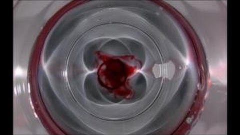 Vortex ring, fragmentation and impact