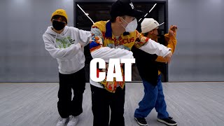 실용무용 입시반 Colde 콜드 - 묘 (Cat) choreography Jin.C 분당무브댄스학원