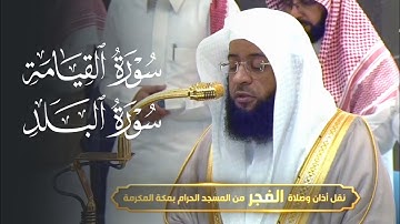 تلاوة فاقت الوصف لسورتي القيامة والبلد للشيخ بدر التركي | فجر الخميس 24-11-1446هـ