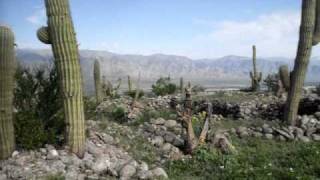 SDC10163.AVI