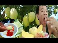 Eating Sour MAGO WITH Spicy Salt peppers delicious