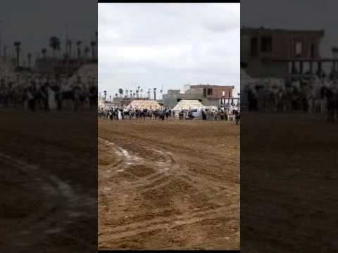 تيفلت عين الجوهرة