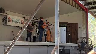 Nathan Beaumont sings Your Haunting Goodbye