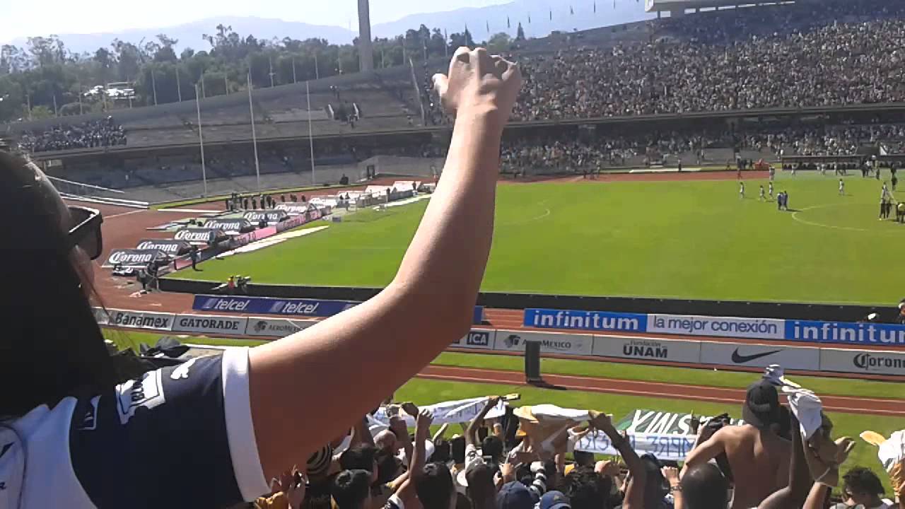 Como No Te Voy A Querer Y Goya Pumas Vs Monterrey YouTube