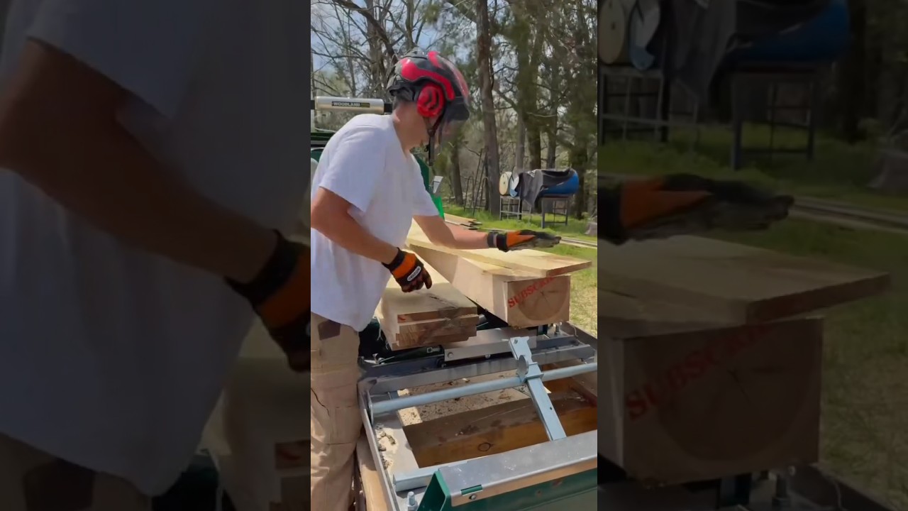 गोल पेड़ से चौकोर सोना कैसे निकलता है 😱 