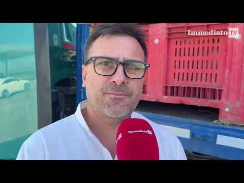 Video FOGGIA, AUTOTRASPORTATORI PRONTI ALLO STOP