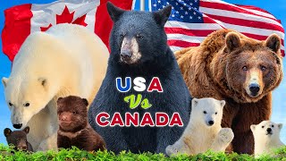 Which Country Has The Most Bears? by Textbook Travel 85,644 views 2 months ago 15 minutes