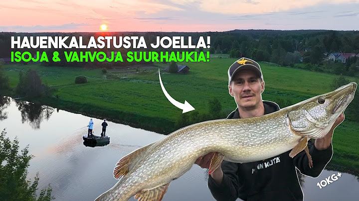 KYMPPIHAUKI VIRRAN SYVYYKSISTÄ! - Hauenkalastusta joella