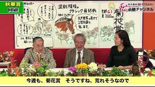 【菊花賞予想】的中のポイントは“幅広い血統考察”と“我慢”！