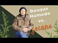 Diferencias entre un bosque inglés y un bosque de secano [Episodio 49]