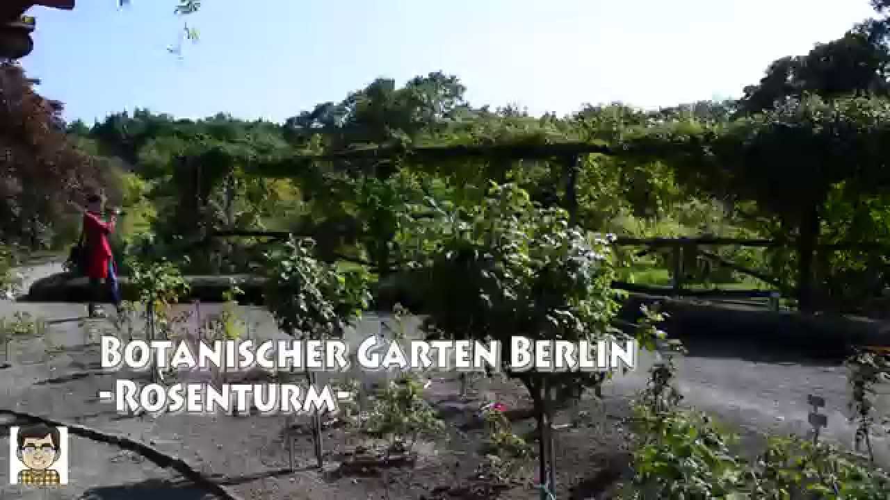 Botanischer Garten Berlin - Der Rosenturm