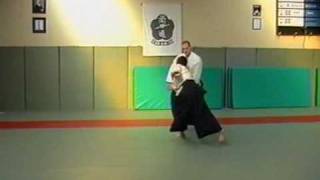 AIkido Buikukai 4th Dan Grading Part 1: Freestyle and Jo technique