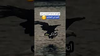 اللهم نجينا من شر الطماعين و المتملقين😊