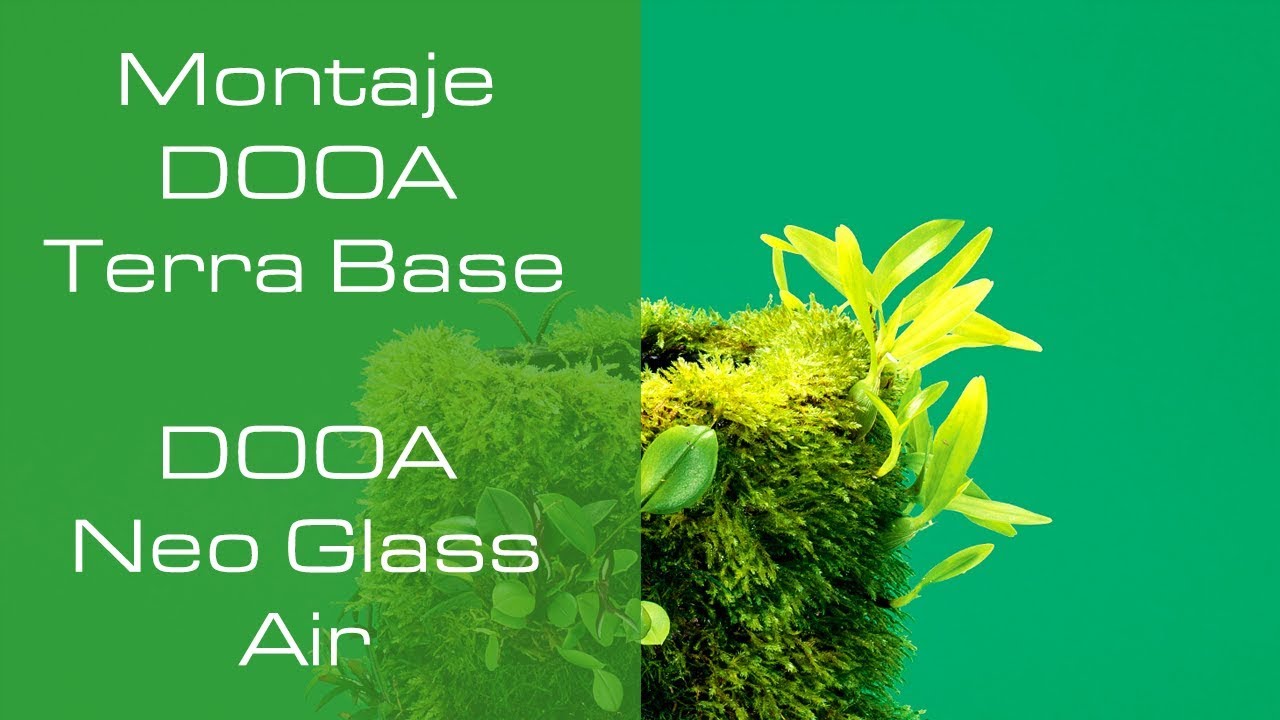 Montaje DOOA Terra Base y DOOA Neo Glass Air - PezVerde