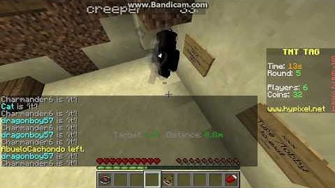 Hypixel TNT Tag Hacker (Cat)